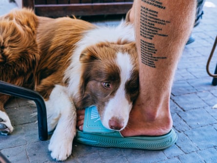 Bohdan’s calf with list of dates and cities, and dog lying on his foot