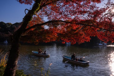 Visitors row boats und red leaves /autumn foliage at Inokashira Park