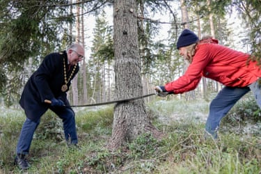 Mayor Anne Lindboe in a red coat and the lord mayor of Westminster, Paul Dimoldenberg, use a saw to cut down a spruce