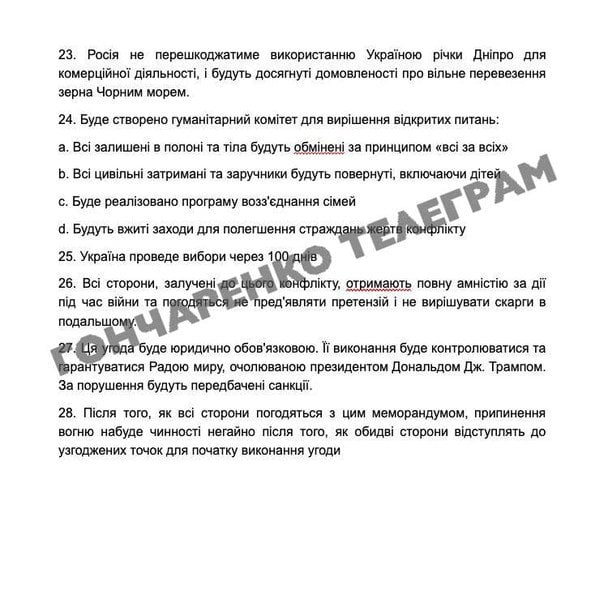 28 пунктів мирного плану США, які опублікував нардеп / © Telegram/Олексій Гончаренко