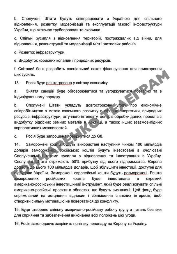 28 пунктів мирного плану США, які опублікував нардеп / © Telegram/Олексій Гончаренко