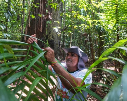 Edson Coelho, a community elder, breaks a palm leaf to make a tool for climbing an açai tree in the forest settlement of Menino Jesus.