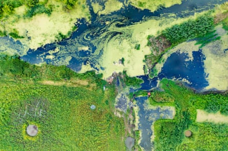 A view from above of different areas of green with blue areas of water cutting through