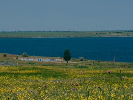 A field of flowers in front of a body of water, and wind turbines on the land on the other side of it