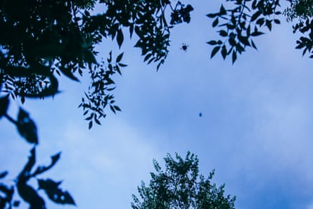 A Russian fibre optic drone flies above the mobile firing crew.