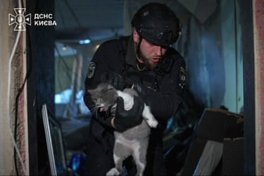A Ukrainian emergency worker wearing protective clothing carries a grey and white cat from a damaged building