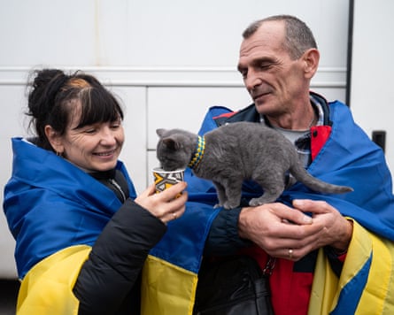 Ukrainians wrapped in a blue and yellow flag feed a grey kitten from a cup